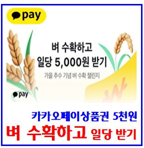  카카오페이 벼 수확하기 이벤트 (ft. 일당 5천원 받기) : 상품권, 포인트, 리워드, 도전기회, 선착순, 친구초대링크, 케이k뱅크추석송편
