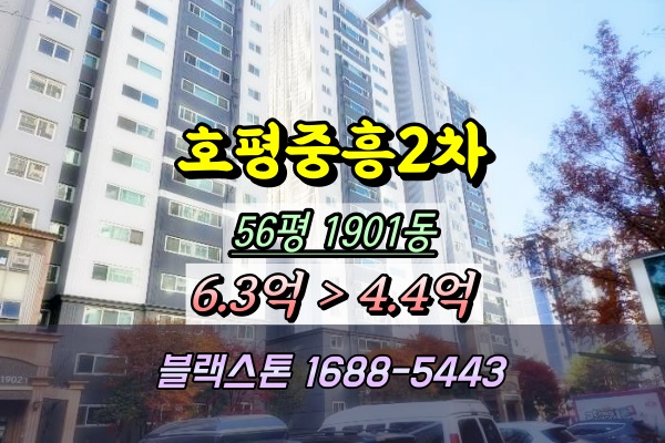  호평마을중흥S클래스로하스 경매 56평 5억대