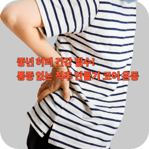  중년 허리 건강 필수! 통증 없는 척추 만들기 코어 운동