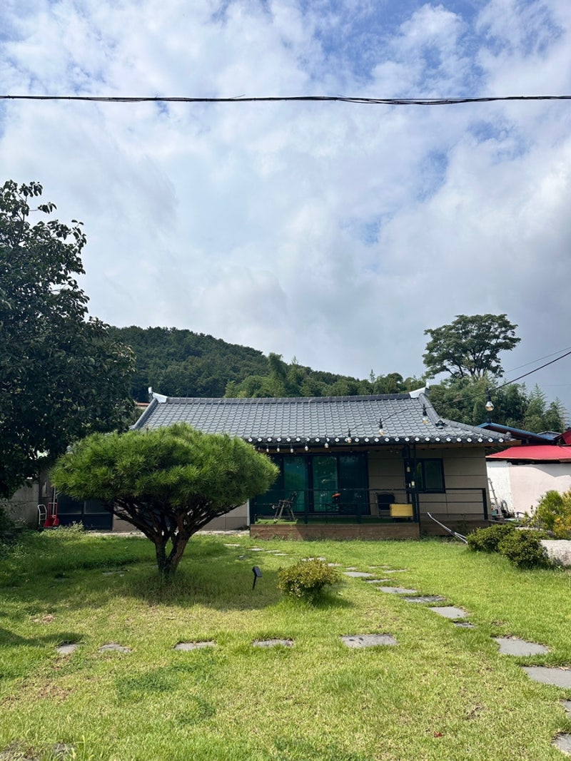 사진 6