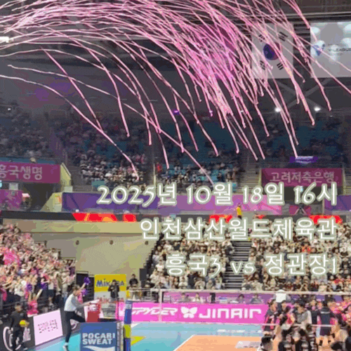 인천삼산체육관 흥국생명 핑크스파이더스 직관 치어리더 위치, 응원단석, 원정석, 원정 응원....