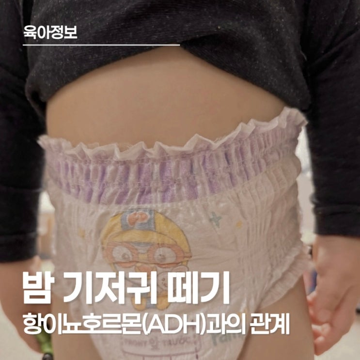  43개월 아이의 밤기저귀 떼기, 언제까지 해야 할까?
