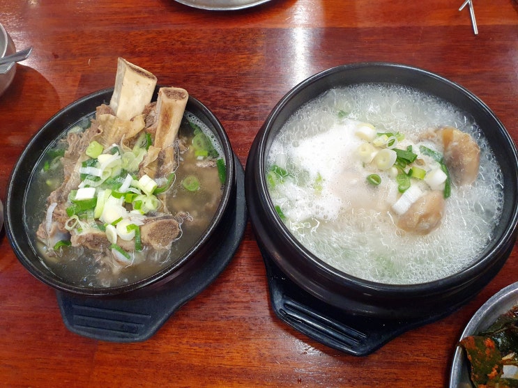  서현역 찐맛집 서현동 맛집 경희보궁 대만족
