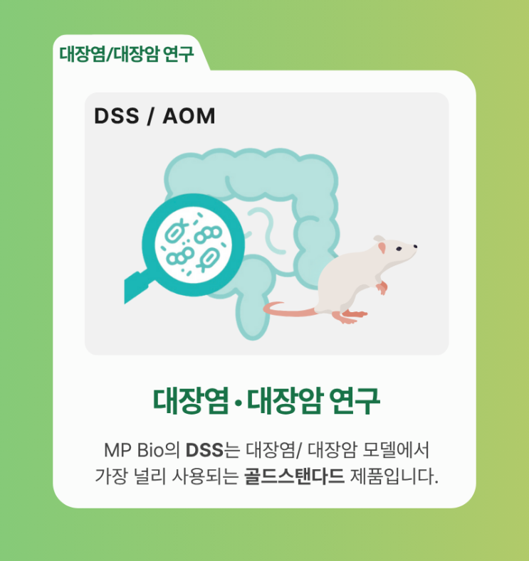  [2025-연말] 엠피바이오 세일 페스타 - 대장염 · 대장암 연구 편
