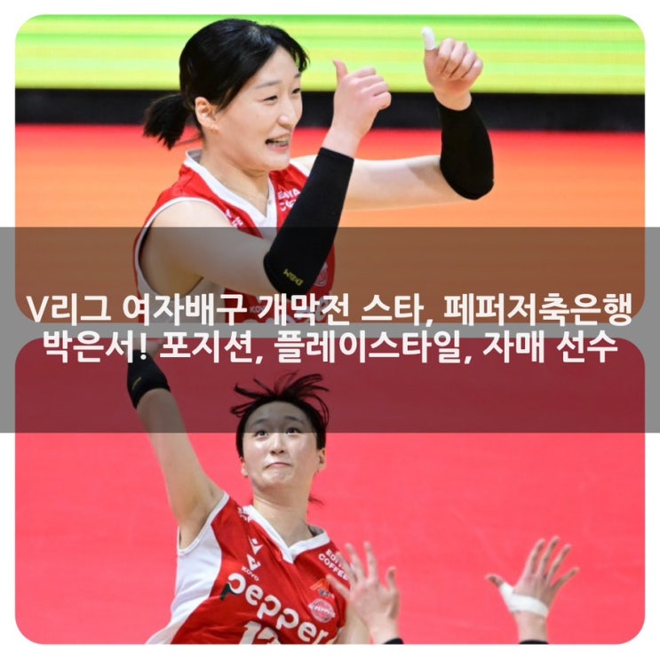 V리그 여자배구 <b>개막전</b> 스타, <b>페퍼저축은행</b> 박은서! 포지션... 