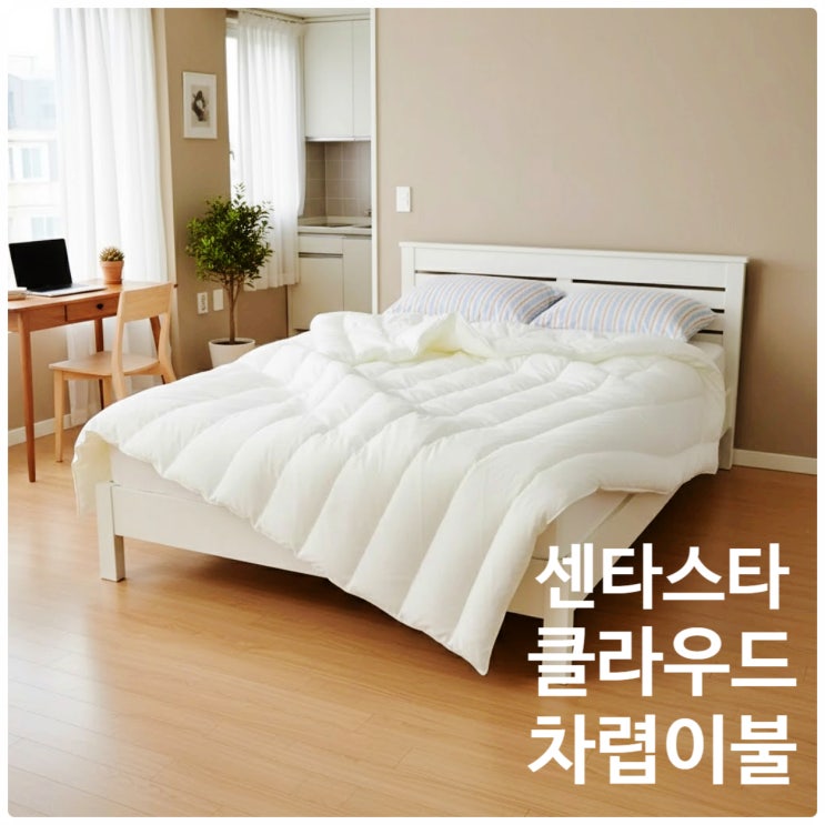  역대급 최저가, CENTASTAR 클라우드 솔로 이불 추천