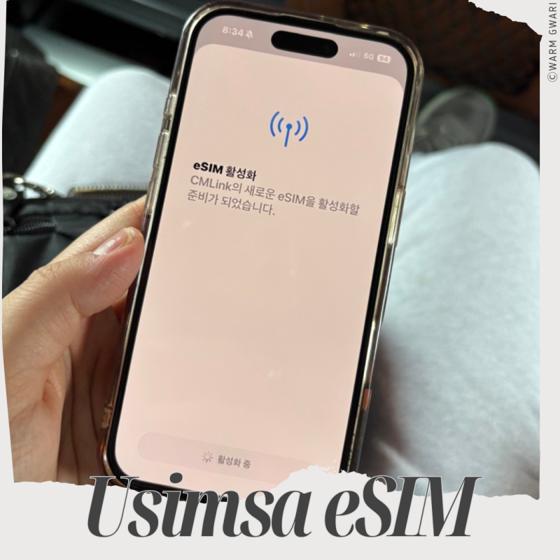 일본 여행 유심사 이심 용량 추천 최대 몇 기가가 적당할까? 아이폰 활성화 삭제 방법 포함
