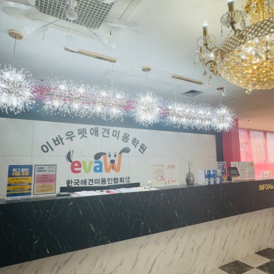 사진 2