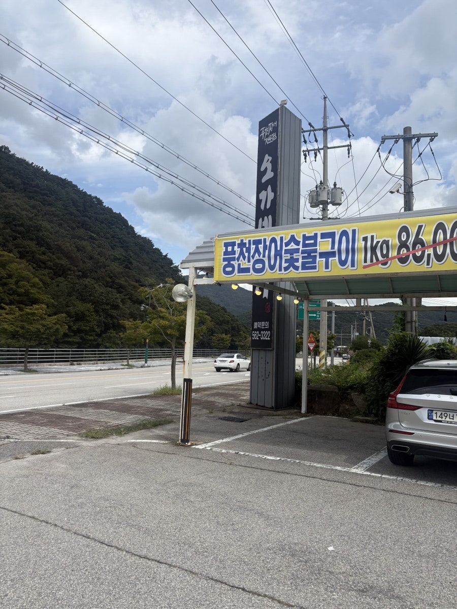 오가네장어 사진 1
