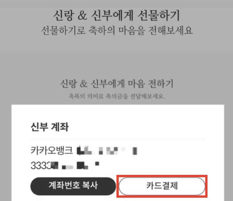 ‘양자역학 공부하느라 몰랐다?’ 최민희 의원, 딸 결혼식 ‘카드결제 논란’ 일파만파