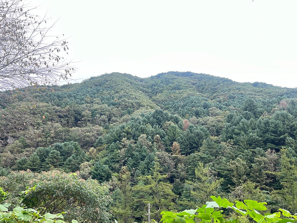 Kapejip photo 3
