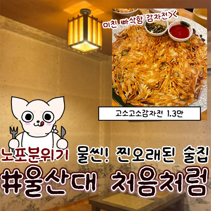  울산대술집 처음처럼 무거동 노포 맛집 막걸리
