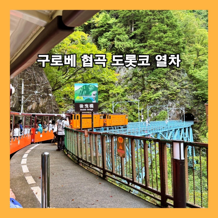 천혜의 절경과 함께하는 기차 여행, 구로베 협곡 도롯코 열차