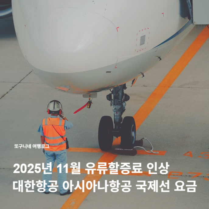  항공 유류할증료 인상, 2025년 11월 대한항공 아시아나항공 국제선 유류할증 요금