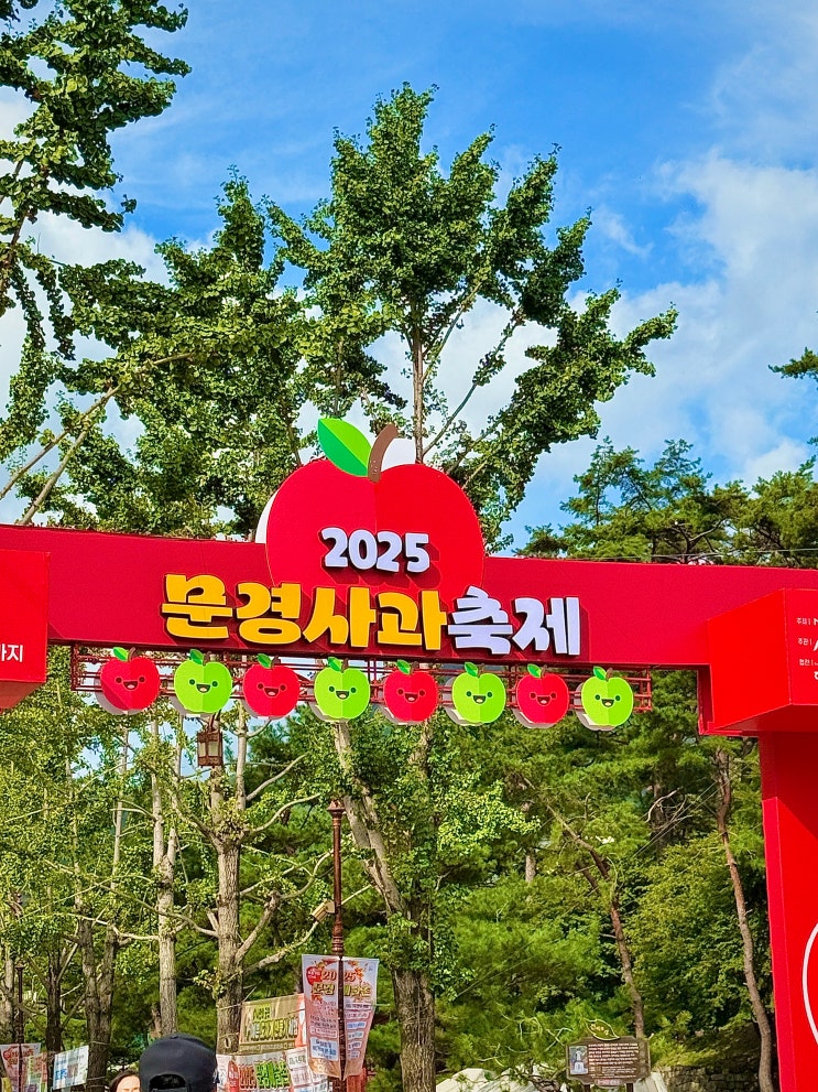  2025 문경사과축제 셔틀버스 이용 꿀팁 아이랑 가볼만한곳 감홍사과 가을축제
