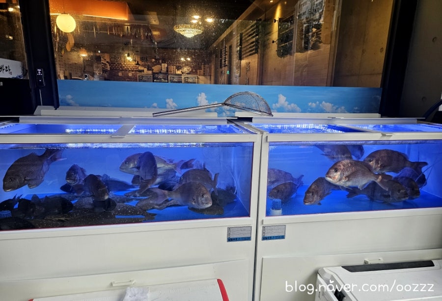 서변앞바다 사진 2