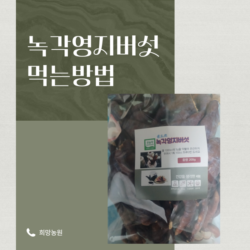 환절기 면역력 강화 필수, 녹각영지버섯 알차게 먹는 방법! 구매시 참조방법