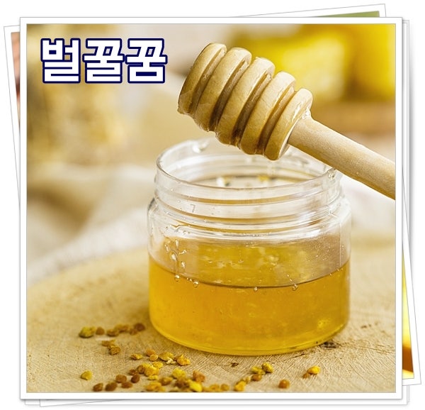 벌꿀꿈 해몽 토종꿀꿈 길몽 한가득 풀이