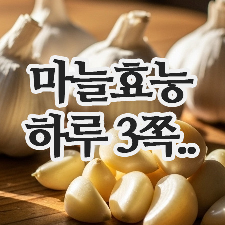  마늘효능, 하루 3쪽이면 혈관이 달라집니다!