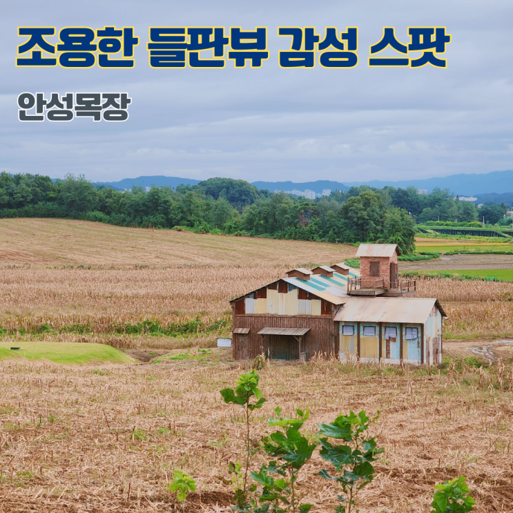  안성목장 들판뷰 감성 스팟 안성 여행 숨은명소 가볼만한 곳