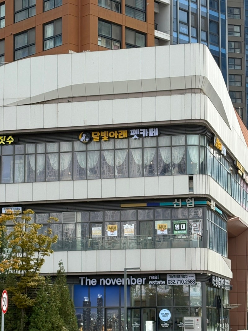 사진 2