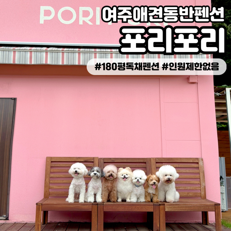 사진 5