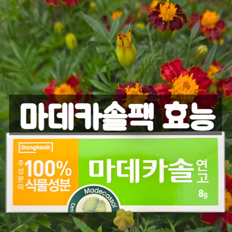  마데카솔팩 진짜 효과 있을까? 100% 식물성분 마데카솔 효능 부작용 팩 하는법