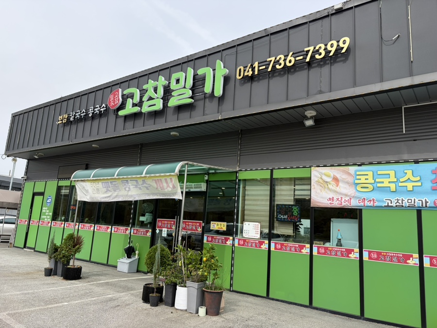 고참밀가 사진 2