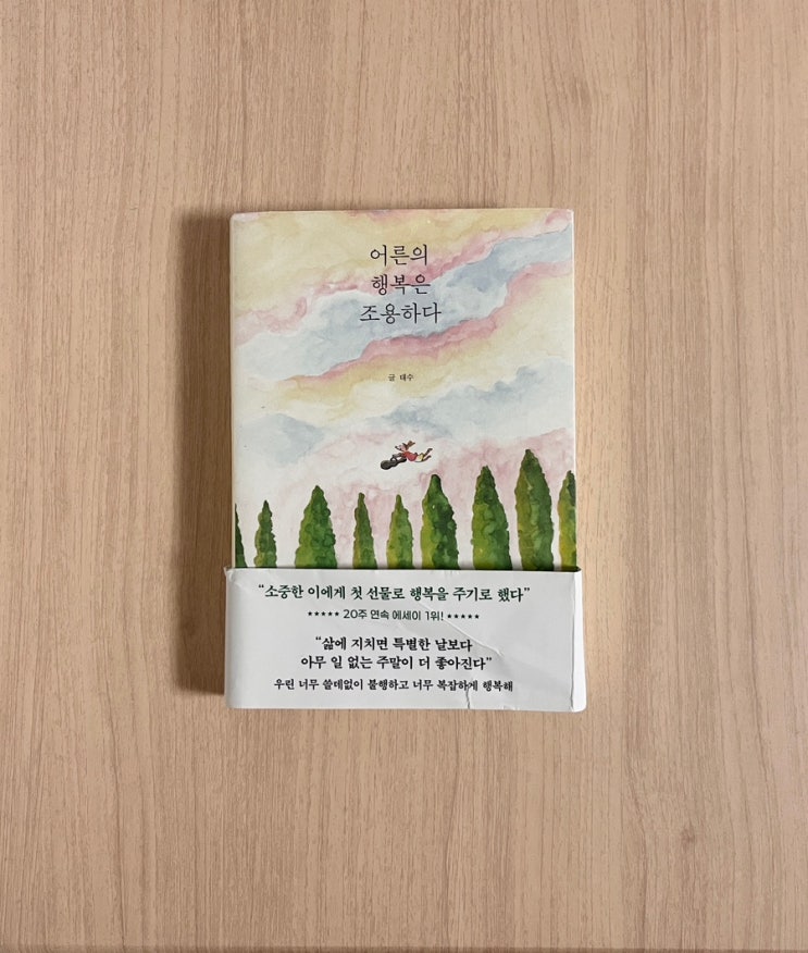  태수 에세이 어른의 행복은 조용하다 서평