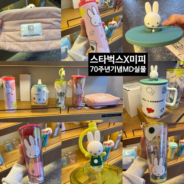  MIFFY! 2025 스타벅스 X 미피 70주년 기념 MD 실물 사진 및 후기 (+ 가격, 모델, 구입처,재고, 할인정보)
