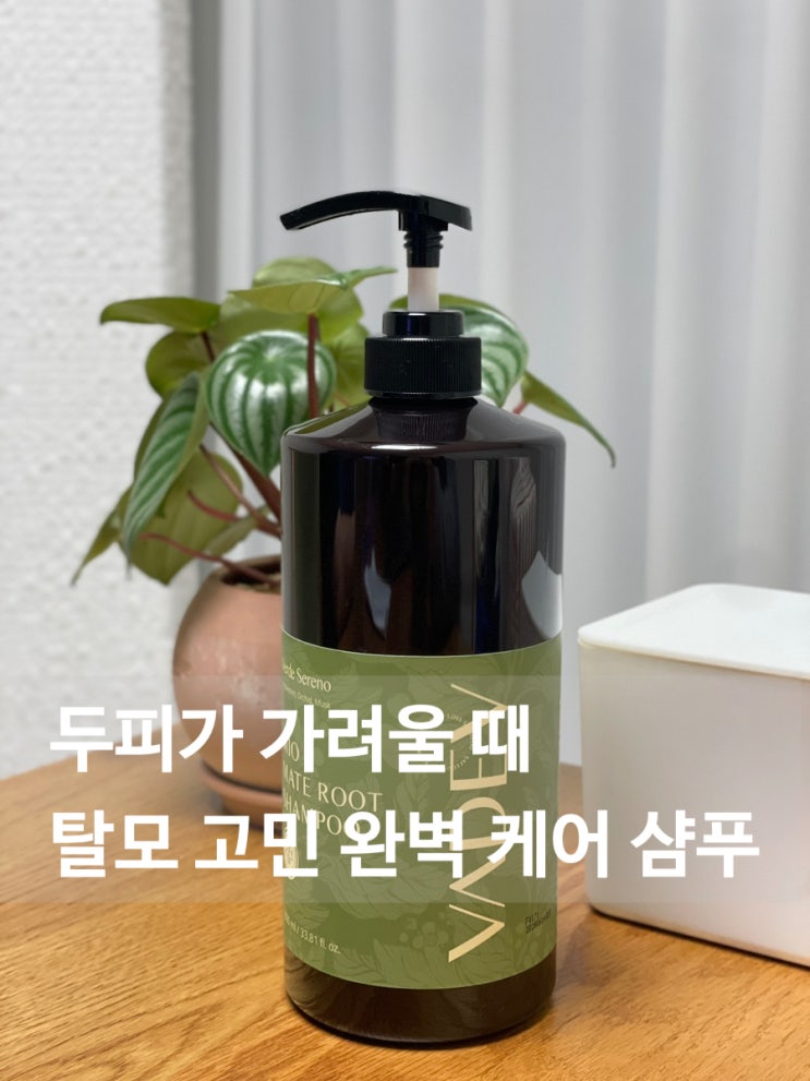  두피 가려움 샴푸 바디브 마테 루트 샴푸 사용 후기