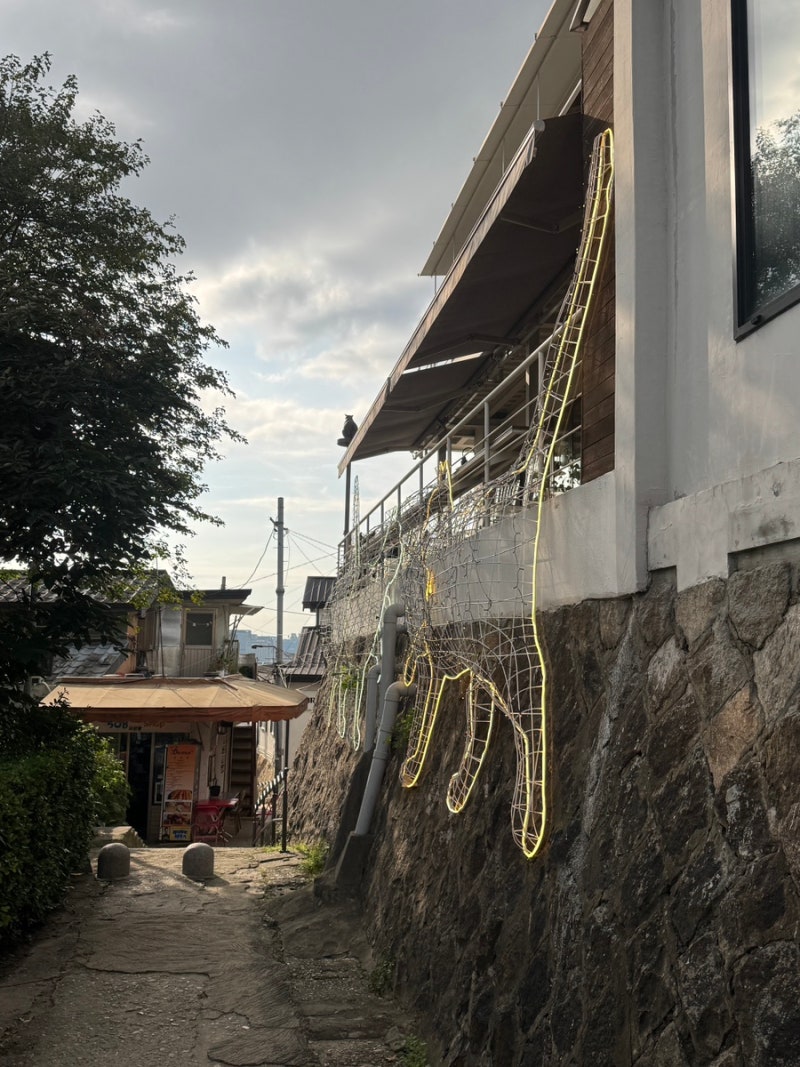 사진 5