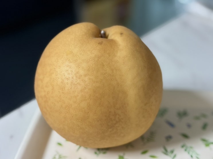  배 가격 하락? 선물세트 나주배 7.5kg 보관