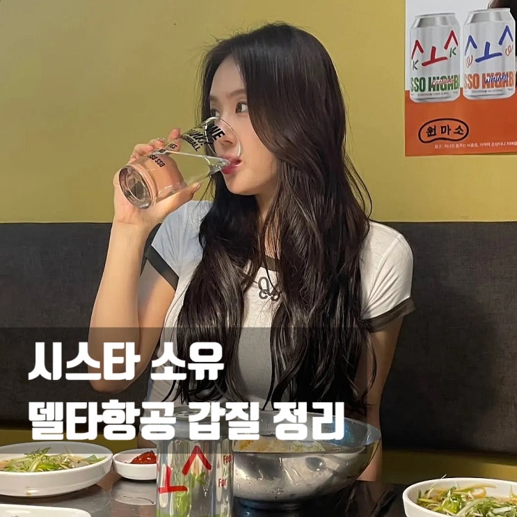 <b>소유</b> 델타 항공사 기내 <b>인종차별</b> 주장, 목격담 삭제 반전? (ft.... 