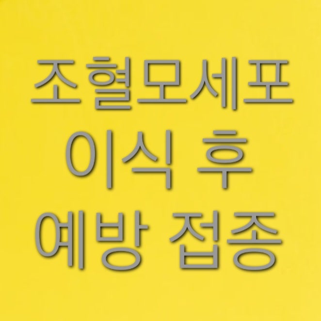 조혈모세포 이식 후 예방 접종 일정 필수 예방접종 해야하는 이유