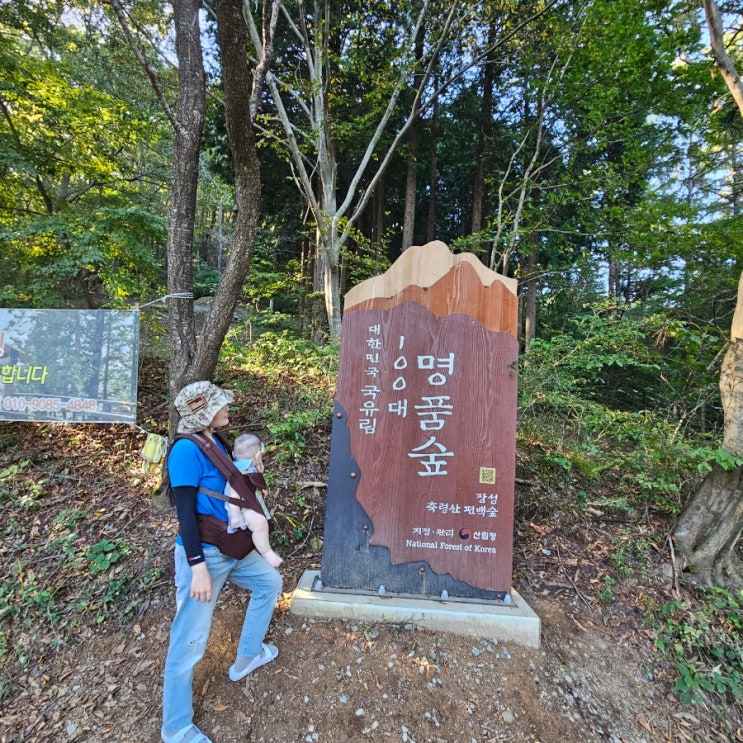  장성 축령산 편백나무숲 치유숲길 스탬프투어