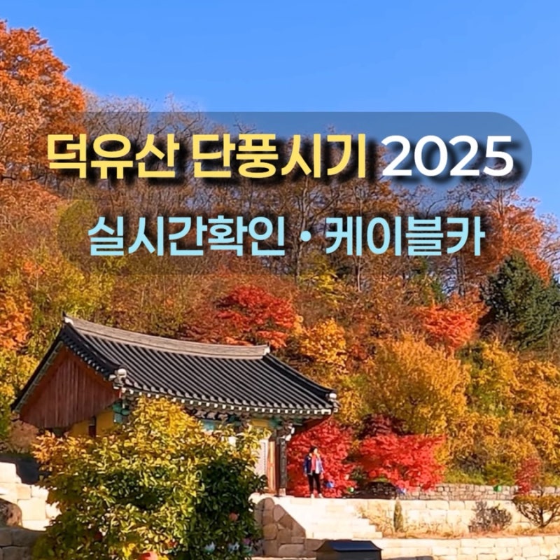 덕유산 단풍시기 2025 실시간 현황 절정 시기