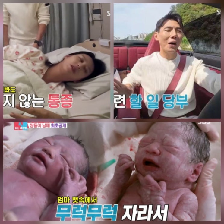 송재희 지소연 쌍둥이 공개 나이 프로필 누구