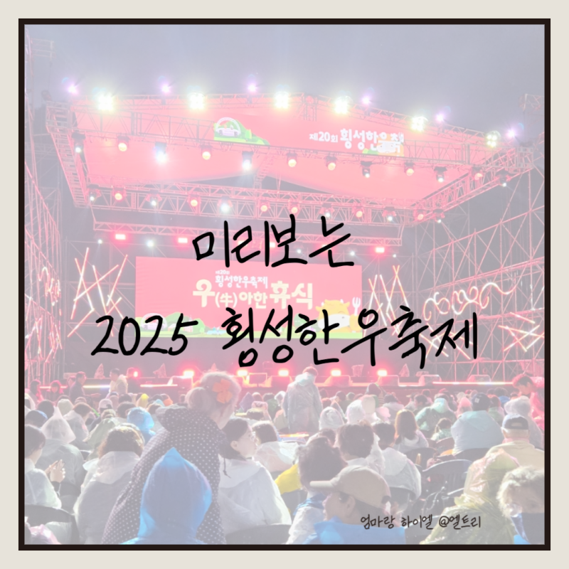횡성한우축제 후기, 작년 현장으로 미리보는 올해 축제