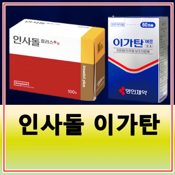 인사돌 가격 성분 효능 복용법 이가탄 차이