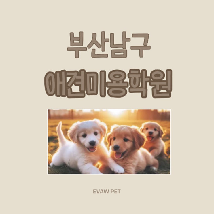  부산남구애견미용학원 실무 중심 교육