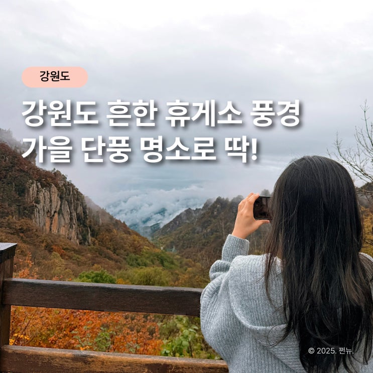  60대 부모님이 데려가 준 드라이브 코스, "여기가 휴게소라고요?"
