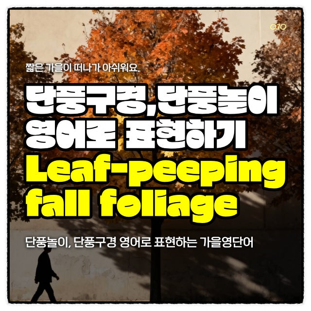 가을에는 단풍놀이, 단풍과 관련된 영단어 leaf peeping, fall foliage