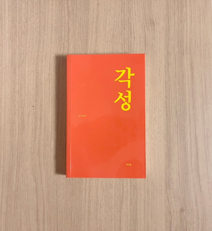  에세이 김요한 각성 서평