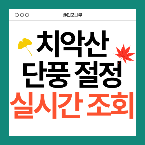 2025 치악산 단풍 절정 시기 및 단풍코스ㅣ실시간 단풍 조회하기