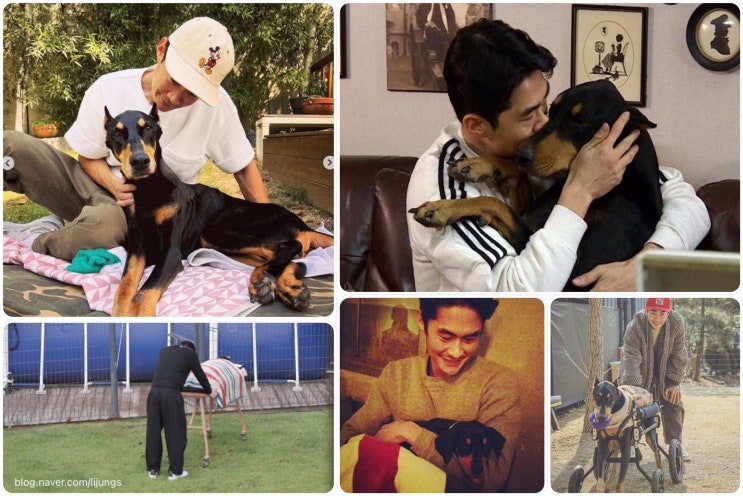 미우새 <b>배정남</b>을 통해 본 <b>펫로스 증후군</b>(Pet Loss Syndrome)