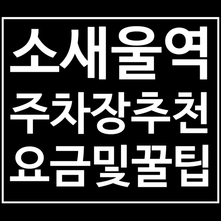  소새울역 주차장 추천 소사근린공원 공영주차장 요금 및 꿀팁