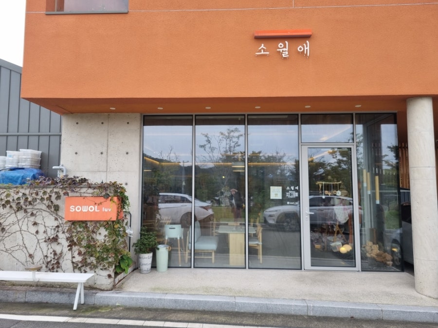 소월애 사진 2