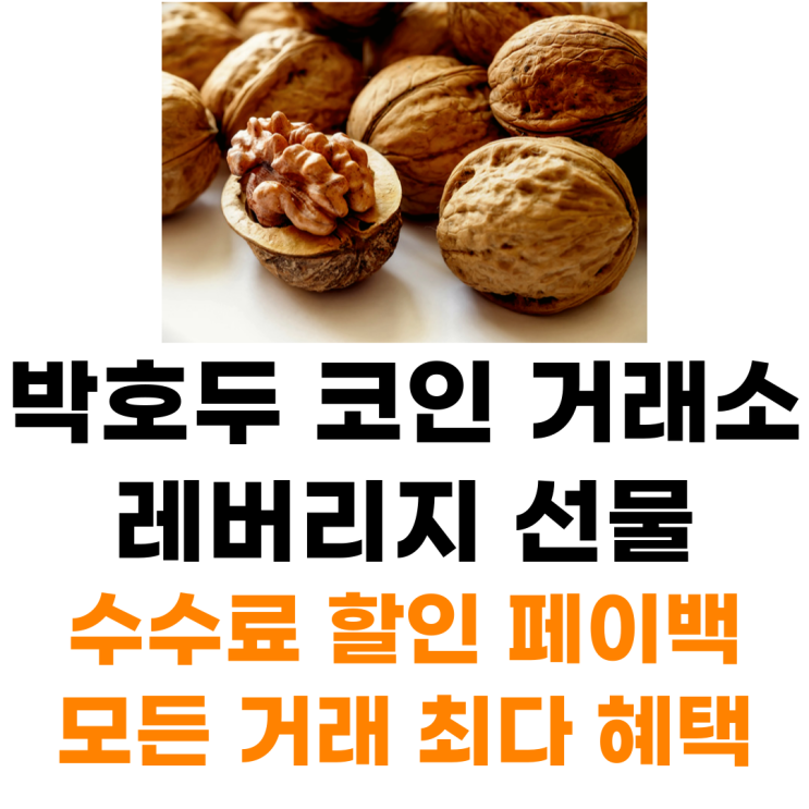  박호두 코인 거래소 가입 최다혜택 받으면서 거래하기