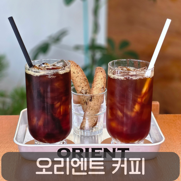  도안동 로스터리카페 오리엔트커피, 합리적인 핸드드립이 매력적인 곳